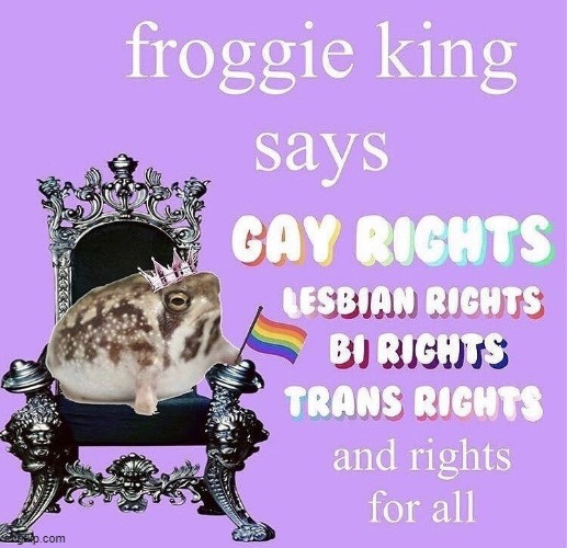 Hippity Hoppity, your rights are now our community's property | image tagged in frog,king,lgbtq,transgender,bisexual,gay rights | made w/ Imgflip meme maker