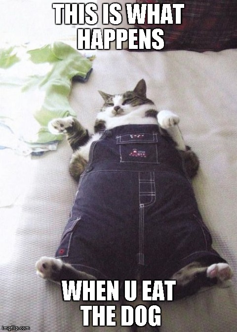 Fat Cat | THIS IS WHAT HAPPENS WHEN U EAT THE DOG | image tagged in memes,fat cat | made w/ Imgflip meme maker