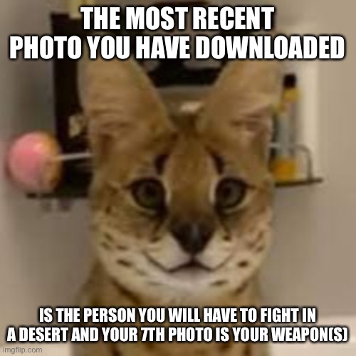 THE MOST RECENT PHOTO YOU HAVE DOWNLOADED; IS THE PERSON YOU WILL HAVE TO FIGHT IN A DESERT AND YOUR 7TH PHOTO IS YOUR WEAPON(S) | image tagged in sogga stare,memes | made w/ Imgflip meme maker