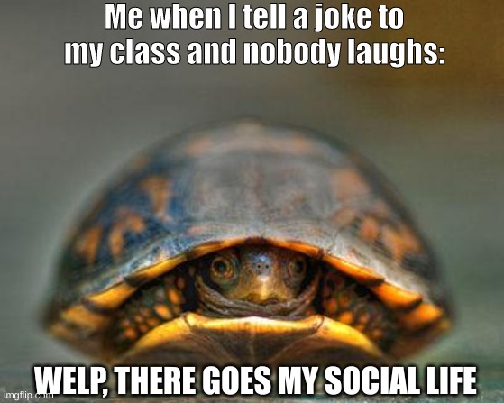 When you tell a joke to the whole class but nobody laughs: |  Me when I tell a joke to my class and nobody laughs:; WELP, THERE GOES MY SOCIAL LIFE | image tagged in introverts,relatable,funny,funny memes,viral meme,certified bruh moment | made w/ Imgflip meme maker