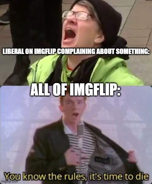 Please leave you whiners | LIBERAL ON IMGFLIP COMPLAINING ABOUT SOMETHING:; ALL OF IMGFLIP: | image tagged in screaming liberal,you know the rules it's time to die | made w/ Imgflip meme maker