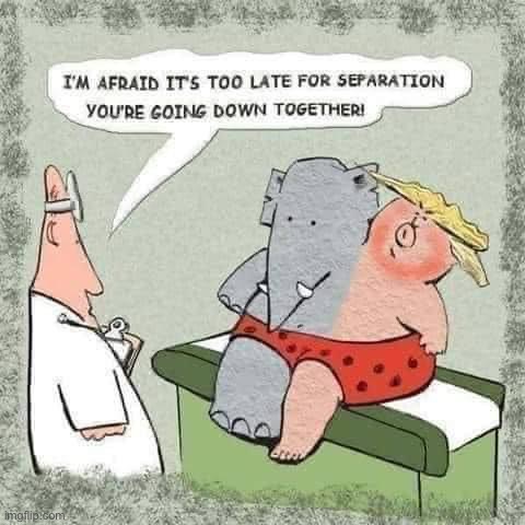 GOP & Trump conjoined | image tagged in gop trump conjoined,gop,trump to gop,republicans,republican party,prognosis | made w/ Imgflip meme maker