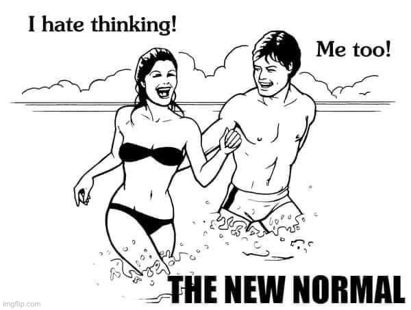 I hate thinking the new normal | image tagged in i hate thinking the new normal,the new normal,conservative logic,politics,society,cartoon | made w/ Imgflip meme maker