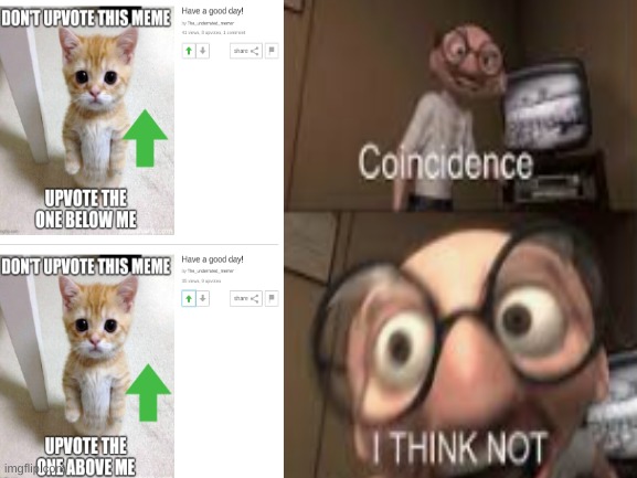 image tagged in coincidence i think not,upvote begging,shut up and take my upvote,cute cat | made w/ Imgflip meme maker