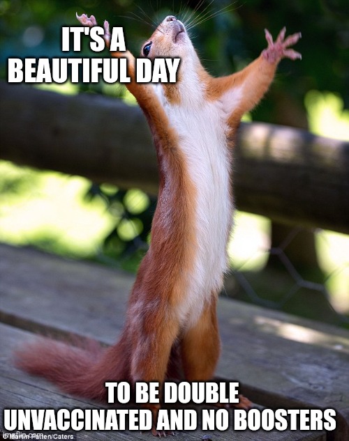 Hooray | IT'S A BEAUTIFUL DAY; TO BE DOUBLE UNVACCINATED AND NO BOOSTERS | image tagged in hooray | made w/ Imgflip meme maker