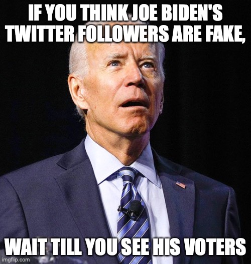 thanks, Tomi Lahren! | IF YOU THINK JOE BIDEN'S TWITTER FOLLOWERS ARE FAKE, WAIT TILL YOU SEE HIS VOTERS | image tagged in joe biden,vote,twitter | made w/ Imgflip meme maker