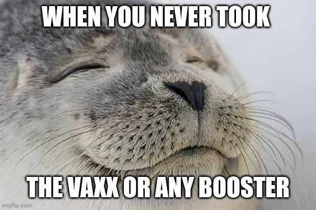 Satisfied Seal | WHEN YOU NEVER TOOK; THE VAXX OR ANY BOOSTER | image tagged in memes,satisfied seal | made w/ Imgflip meme maker