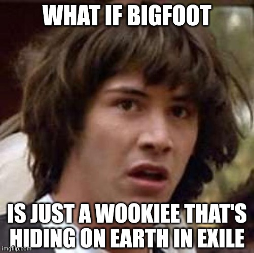ANYTHING'S POSSIBLE | WHAT IF BIGFOOT; IS JUST A WOOKIEE THAT'S HIDING ON EARTH IN EXILE | image tagged in memes,conspiracy keanu,star wars,wookie,chewbacca,bigfoot,bigfoot | made w/ Imgflip meme maker
