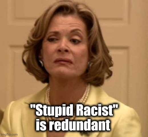 disdain | "Stupid Racist" is redundant | image tagged in disdain | made w/ Imgflip meme maker