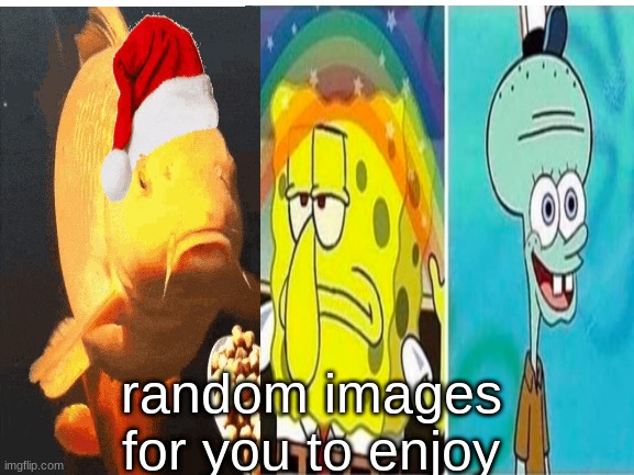 random memes | random images for you to enjoy | image tagged in memes,random,randommemes,spongebob,squidward,dont you squidward | made w/ Imgflip meme maker