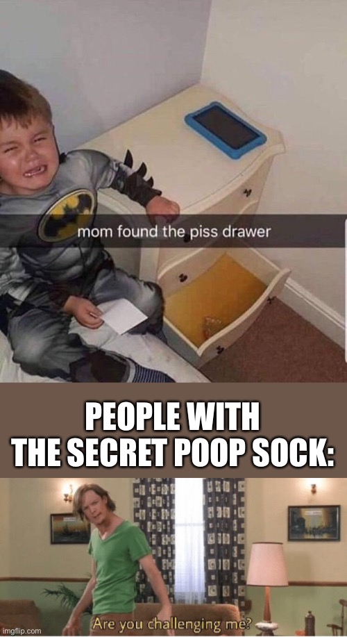Toilet humor | PEOPLE WITH THE SECRET POOP SOCK: | image tagged in are you challenging me,poop,piss,sock,toilet | made w/ Imgflip meme maker