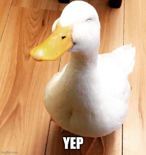 SMILE DUCK | YEP | image tagged in smile duck | made w/ Imgflip meme maker