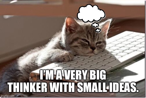 Cat Big Thinker | I’M A VERY BIG THINKER WITH SMALL IDEAS. | image tagged in bored keyboard cat,cat,big thinker,small ideas,kitten | made w/ Imgflip meme maker
