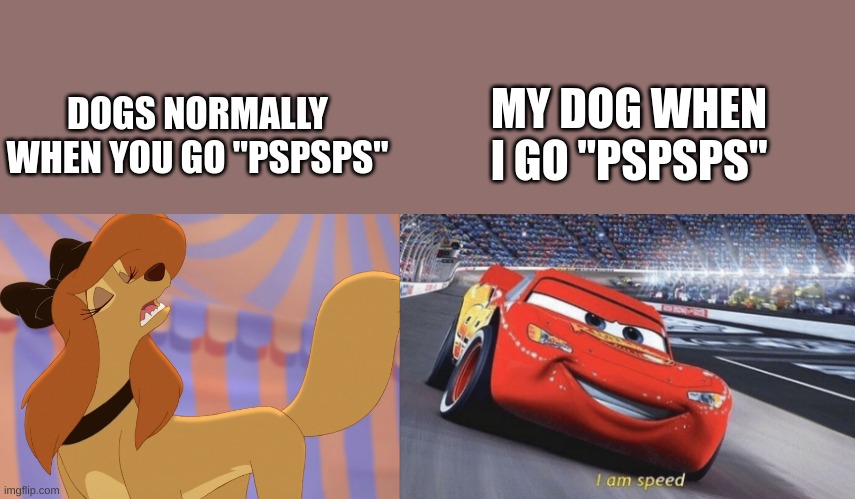 MY DOG WHEN I GO "PSPSPS"; DOGS NORMALLY WHEN YOU GO "PSPSPS" | image tagged in dixie uninterested,i am speed,litarally just fly's onto the bed when i do this | made w/ Imgflip meme maker