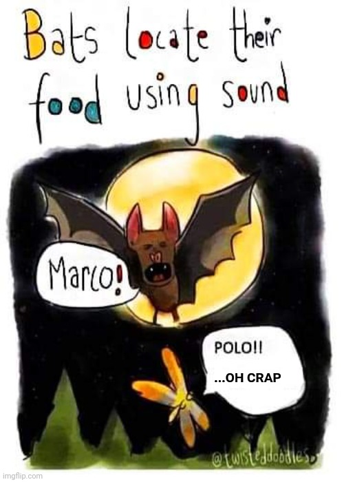 Oops | ...OH CRAP | image tagged in bats,marco polo,oops | made w/ Imgflip meme maker