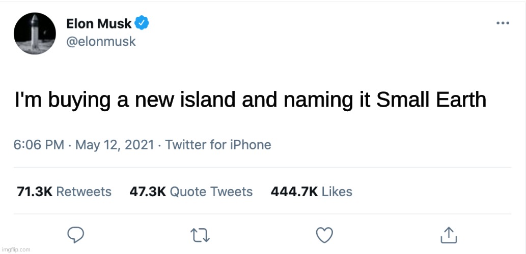 not wrong | I'm buying a new island and naming it Small Earth | image tagged in elon musk blank tweet | made w/ Imgflip meme maker
