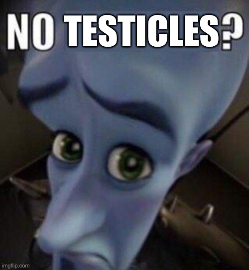 megamind no blank | TESTICLES | image tagged in megamind no blank | made w/ Imgflip meme maker