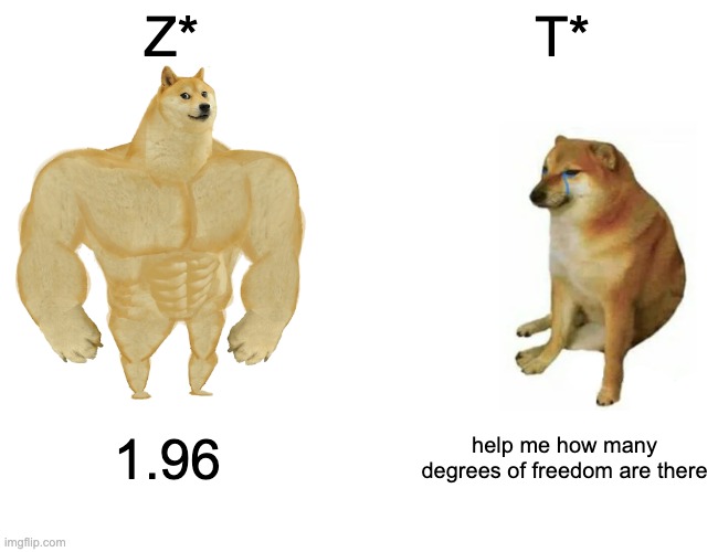 Buff Doge vs. Cheems | Z*; T*; 1.96; help me how many degrees of freedom are there | image tagged in memes,buff doge vs cheems,statistics,ap classes,ap stats | made w/ Imgflip meme maker
