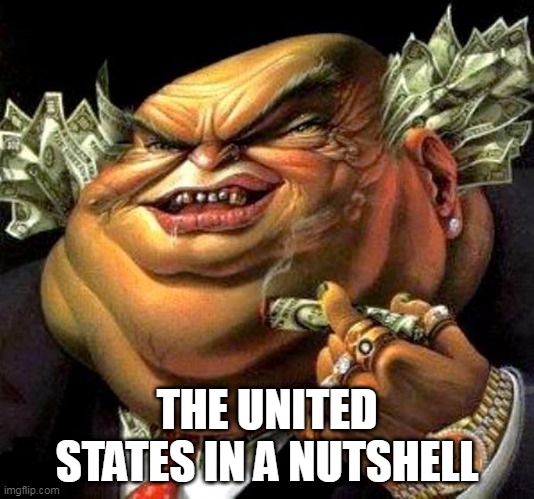 Dirty Rotten Filthy Stinkin' Rich | THE UNITED STATES IN A NUTSHELL | image tagged in capitalist criminal pig,united states,united states of america,usa,america,us | made w/ Imgflip meme maker