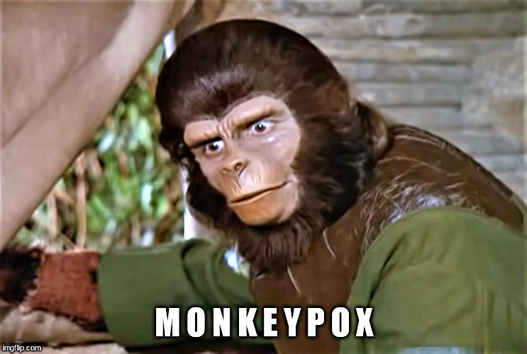 underwear mandate |  M O N K E Y P O X | image tagged in virus,monkeypox,mpxv,planet of the apes | made w/ Imgflip meme maker