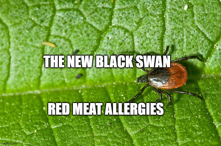 Lyme tick parasite | THE NEW BLACK SWAN; RED MEAT ALLERGIES | image tagged in lyme tick parasite | made w/ Imgflip meme maker