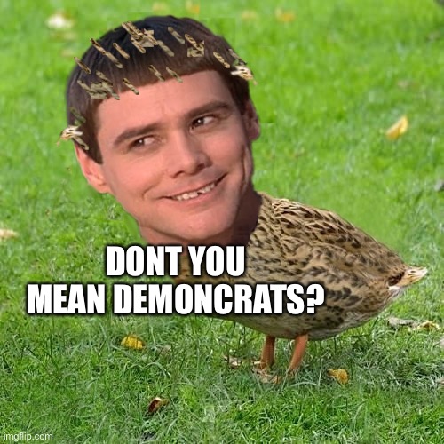Jim Carreduck | DONT YOU MEAN DEMONCRATS? | image tagged in jim carreduck | made w/ Imgflip meme maker