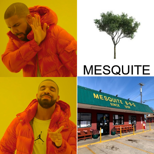 the real solution | MESQUITE | image tagged in drake hotline bling,drake blank | made w/ Imgflip meme maker