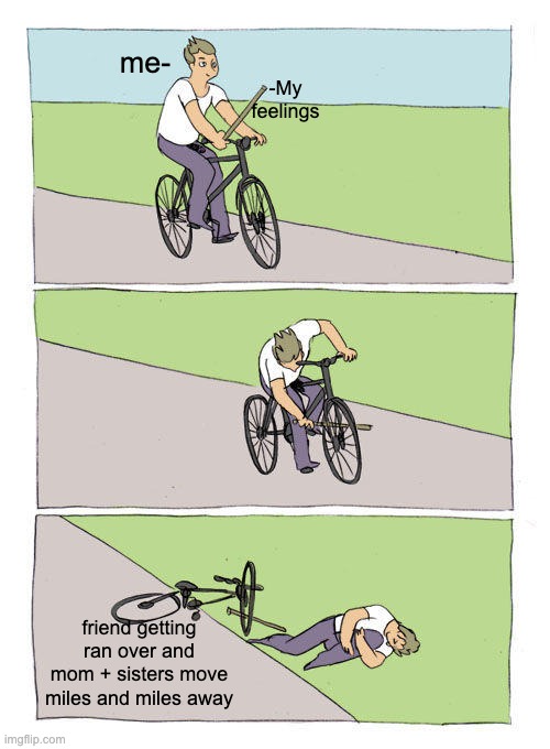 Bike Fall | me-; -My feelings; friend getting ran over and mom + sisters move miles and miles away | image tagged in memes,bike fall | made w/ Imgflip meme maker