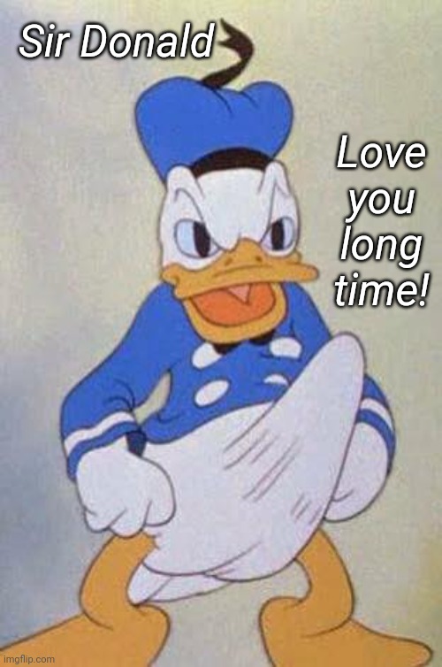 Horny Donald Duck | Sir Donald; Love you long time! | image tagged in horny donald duck | made w/ Imgflip meme maker