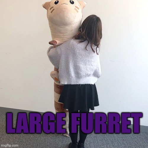 LARGE FURRET | image tagged in furret,large furret | made w/ Imgflip meme maker