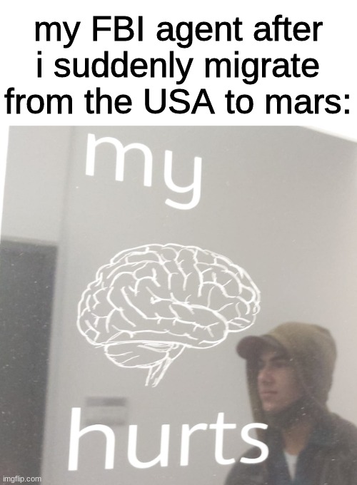 Confused man in mirror | my FBI agent after i suddenly migrate from the USA to mars: | image tagged in confused man in mirror | made w/ Imgflip meme maker