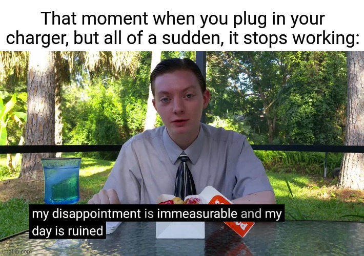 Charger | That moment when you plug in your charger, but all of a sudden, it stops working: | image tagged in my disappointment is immeasurable,chargers,funny,charger,memes,blank white template | made w/ Imgflip meme maker