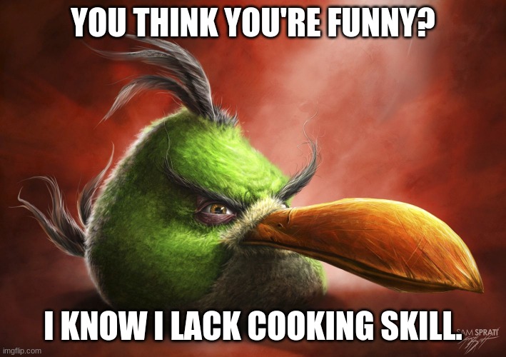 Sad reality. | YOU THINK YOU'RE FUNNY? I KNOW I LACK COOKING SKILL. | image tagged in realistic angry bird,scheissepost | made w/ Imgflip meme maker