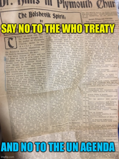 103 yr old Brooklyn newspaper clipping from 1919 | SAY NO TO THE WHO TREATY; AND NO TO THE UN AGENDA | made w/ Imgflip meme maker