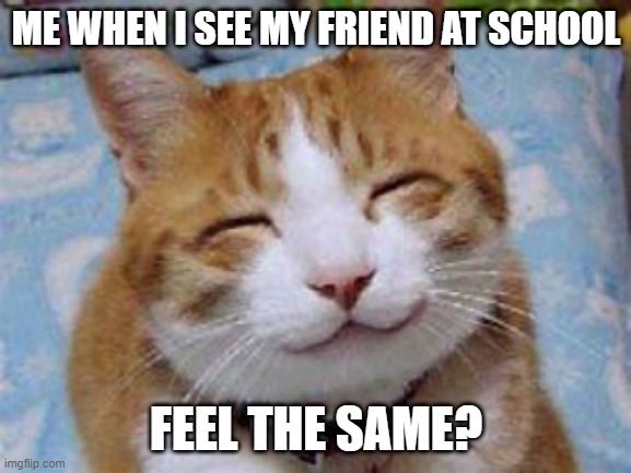 feel the same | ME WHEN I SEE MY FRIEND AT SCHOOL; FEEL THE SAME? | image tagged in school | made w/ Imgflip meme maker