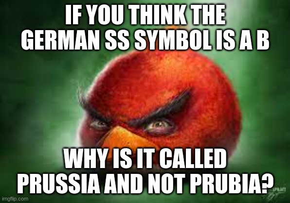 its called Prußia | IF YOU THINK THE GERMAN SS SYMBOL IS A B; WHY IS IT CALLED PRUSSIA AND NOT PRUBIA? | image tagged in realistic angry birds,prussia | made w/ Imgflip meme maker