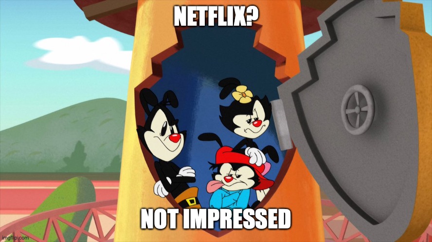 how the Animaniacs think of Netflix. | NETFLIX? NOT IMPRESSED | image tagged in not impressed | made w/ Imgflip meme maker