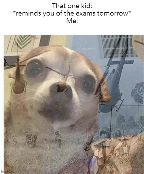 PTSD Chihuahua | That one kid: *reminds you of the exams tomorrow*
Me: | image tagged in ptsd chihuahua | made w/ Imgflip meme maker