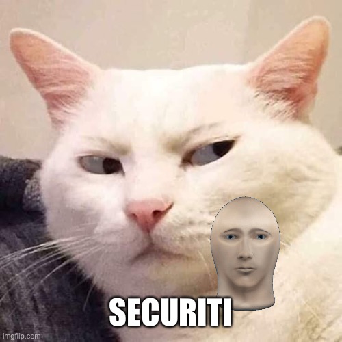 Securiti cat | SECURITI | image tagged in i'm watching you,securiti,cat | made w/ Imgflip meme maker
