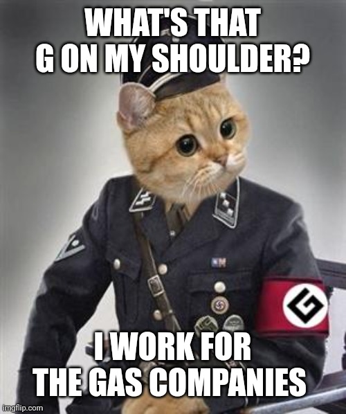 Grammar Nazi Cat | WHAT'S THAT G ON MY SHOULDER? I WORK FOR THE GAS COMPANIES | image tagged in grammar nazi cat | made w/ Imgflip meme maker