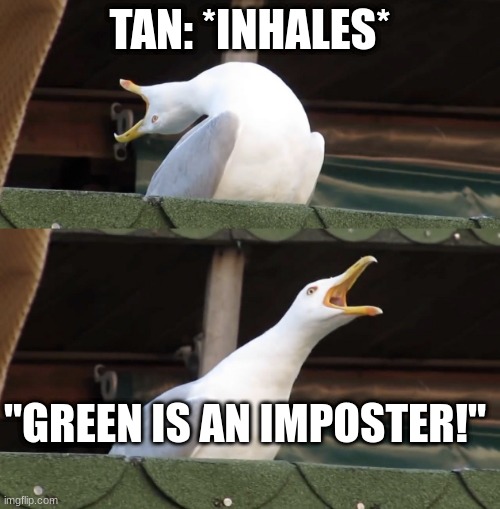 Only One Person Who Understands This | TAN: *INHALES*; "GREEN IS AN IMPOSTER!" | image tagged in seagull,among us,book | made w/ Imgflip meme maker