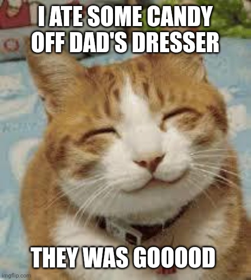 Happy cat | I ATE SOME CANDY OFF DAD'S DRESSER; THEY WAS GOOOOD | image tagged in happy cat | made w/ Imgflip meme maker