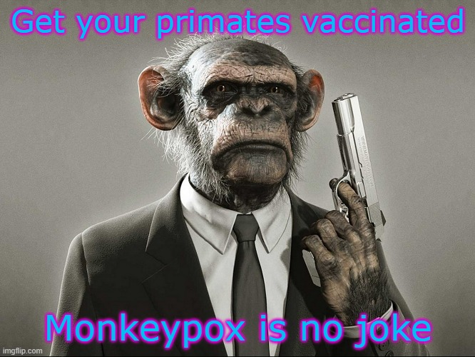 no there is not a monkeypox vaccine and it spreads through humans, not monke | Get your primates vaccinated; Monkeypox is no joke | image tagged in chimpanzee with gun,get your monke vaccinated,monke,memes,chimpanzee,primates | made w/ Imgflip meme maker