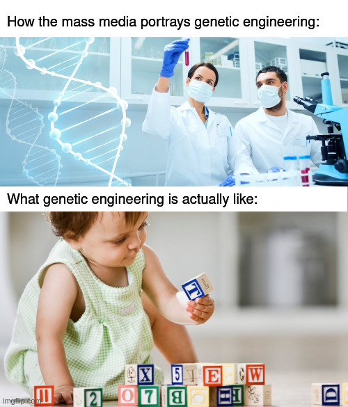 Genetic Engineering | How the mass media portrays genetic engineering:; What genetic engineering is actually like: | image tagged in white bar | made w/ Imgflip meme maker