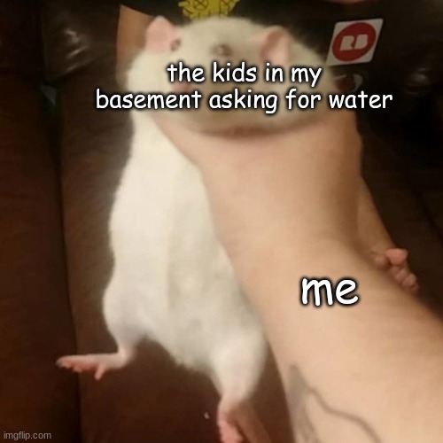 this is what happens in a stream like this | the kids in my basement asking for water; me | image tagged in grabbing a fat rat | made w/ Imgflip meme maker