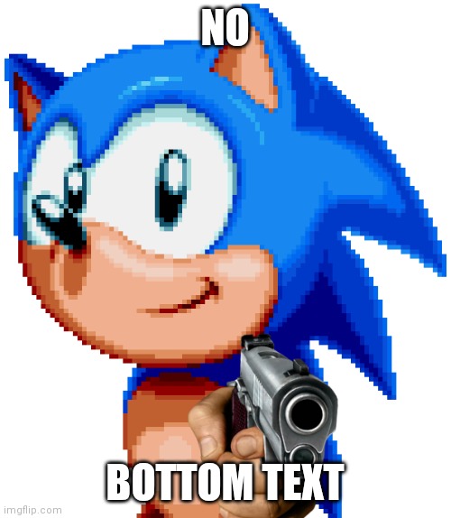 sonic with a gun | NO; BOTTOM TEXT | image tagged in sonic with a gun | made w/ Imgflip meme maker