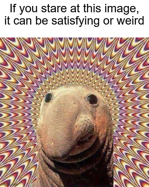 It can be satisfying or WTF? |  If you stare at this image, it can be satisfying or weird | image tagged in wtf,or is it,satisfying | made w/ Imgflip meme maker