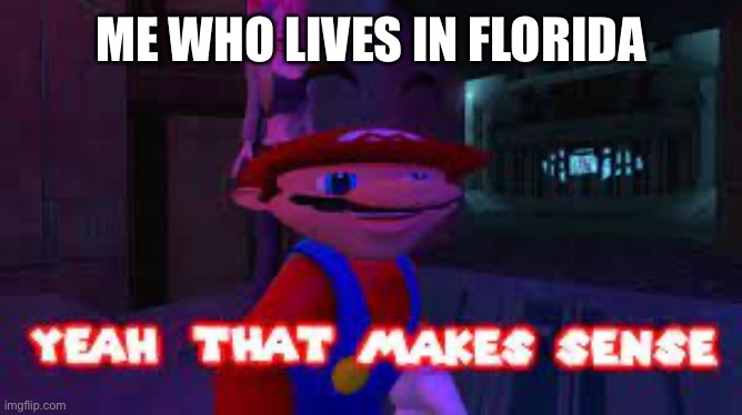 yeah that makes sense | ME WHO LIVES IN FLORIDA | image tagged in yeah that makes sense | made w/ Imgflip meme maker