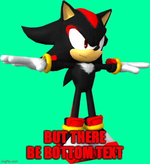 shadow the hedgehog t pose | BUT THERE BE BOTTOM TEXT | image tagged in shadow the hedgehog t pose | made w/ Imgflip meme maker