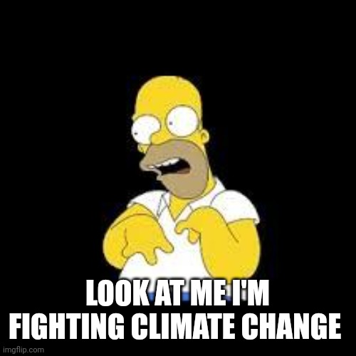 Homer | LOOK AT ME I'M FIGHTING CLIMATE CHANGE | image tagged in look marge | made w/ Imgflip meme maker